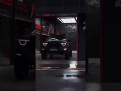 385Nm 185KW 252P 4WD 5 सीट 5 दरवाजे 2.0T टैंक 400 एसयूवी पेट्रोल ईंधन नई कार