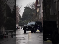 अच्छी स्थिति नई संस्करण 3.0T टैंक 300 एसयूवी 4WD हाइब्रिड ईवी पेट्रोल नई कार