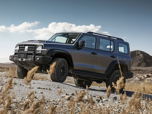 अच्छी स्थिति नई संस्करण 3.0T टैंक 300 एसयूवी 4WD हाइब्रिड ईवी पेट्रोल नई कार