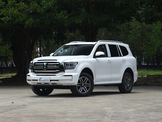 प्रतिस्पर्धी 5 सीट 5 दरवाजे 3.0T टैंक 500 एसयूवी 500 एनएम 265KW 360Ps 4WD नई ऊर्जा हाइब्रिड ईवी गैसोलीन पेट्रोल ईंधन नई कार